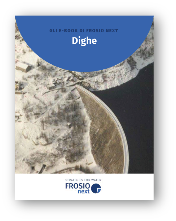 dighe copertina ebook dighe finalita frosio next brochure-frosio-next