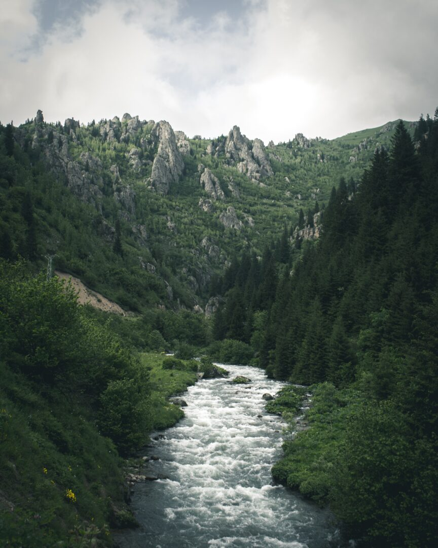 Georgia 1