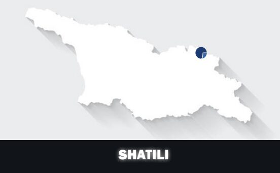 Georgia investment